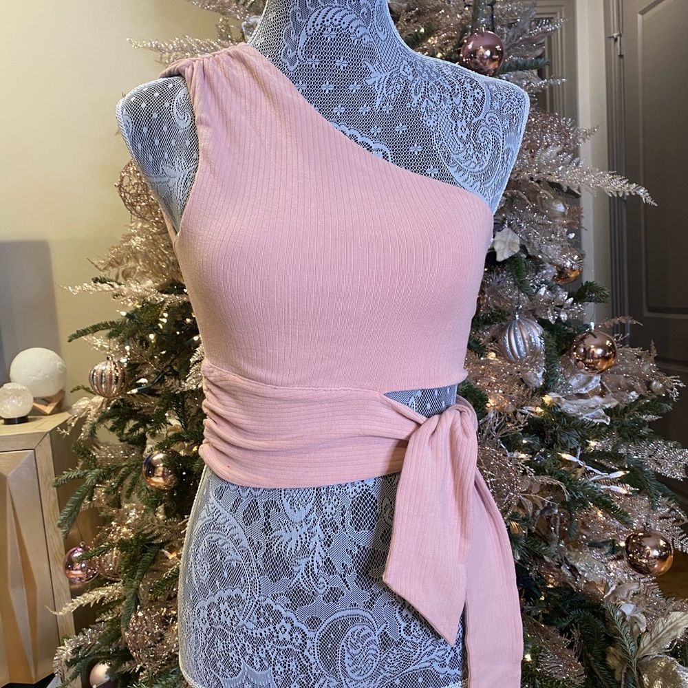 Lovers and friends pink cropped tie top